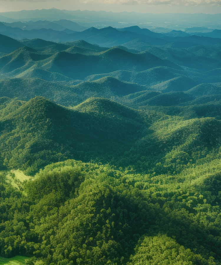 Environment