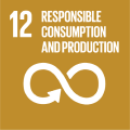 UN SDGs
