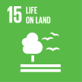 UN SDGs